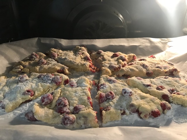 Baking cream cheese cherry scones
#heatherearles #herbnwisdom #naturalliving #sconerecipe #nankingcherries #homesteading #farmgirlcooking #cherries
