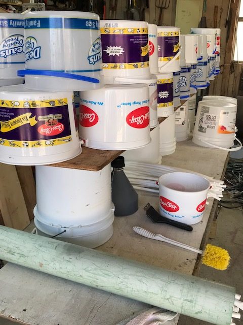 buckets to collect the syrup