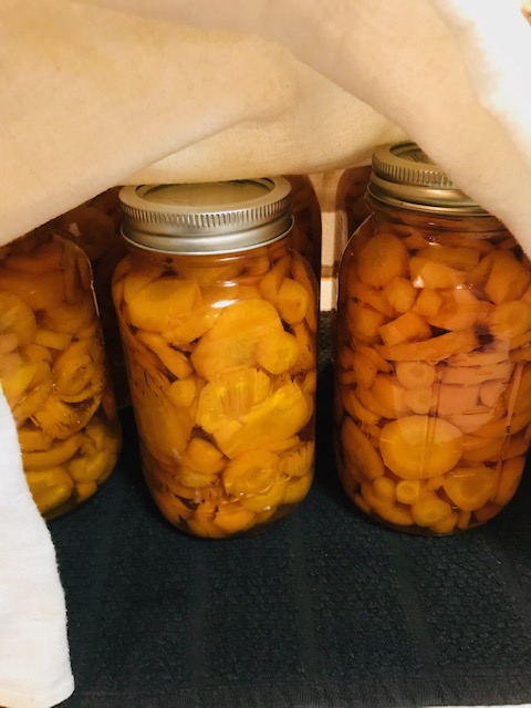 canning carrots in a pressure canner