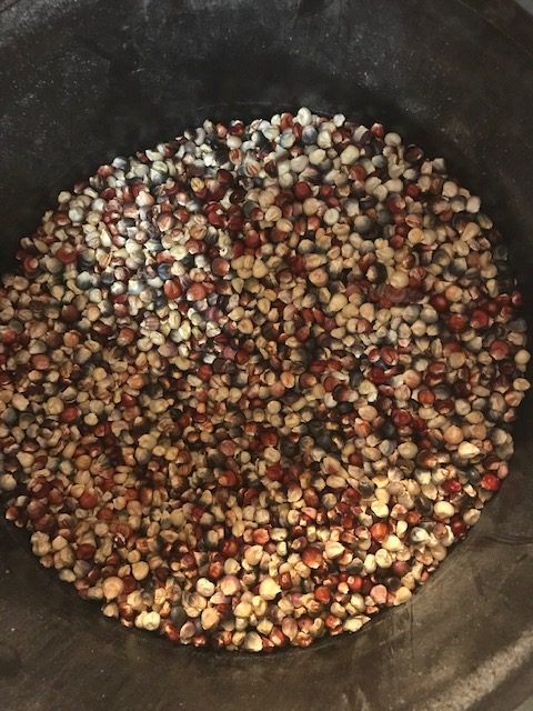 cleaned organic Indian corn