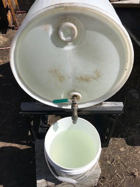 clear tree sap
#heatherearles #herbnwisdom #naturalliving #corona #syrupmaking #boxeldertrees #northerngirl #author