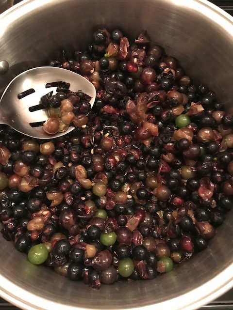 cooking down the grapes
#heatherearles #naturalliving #concordgrapes #grapejellyrecipe #homesteading #herbnwisdom #healthblogger #author #foodpodcaster