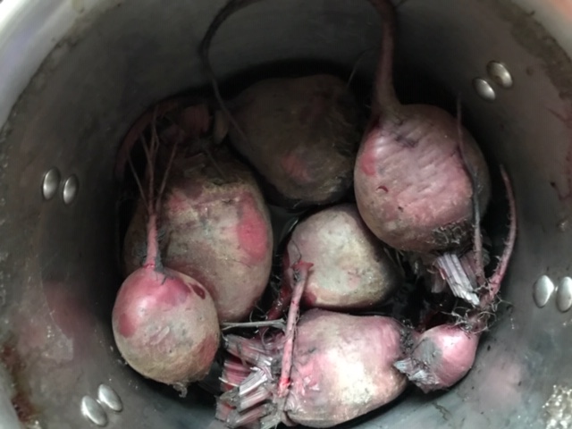 How do you freeze beets?
#HeatherEarles #herbnwisdom #naturalliving #superfoods #beets #foodprep