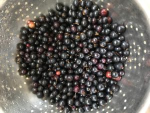 crandall currants in a strainer