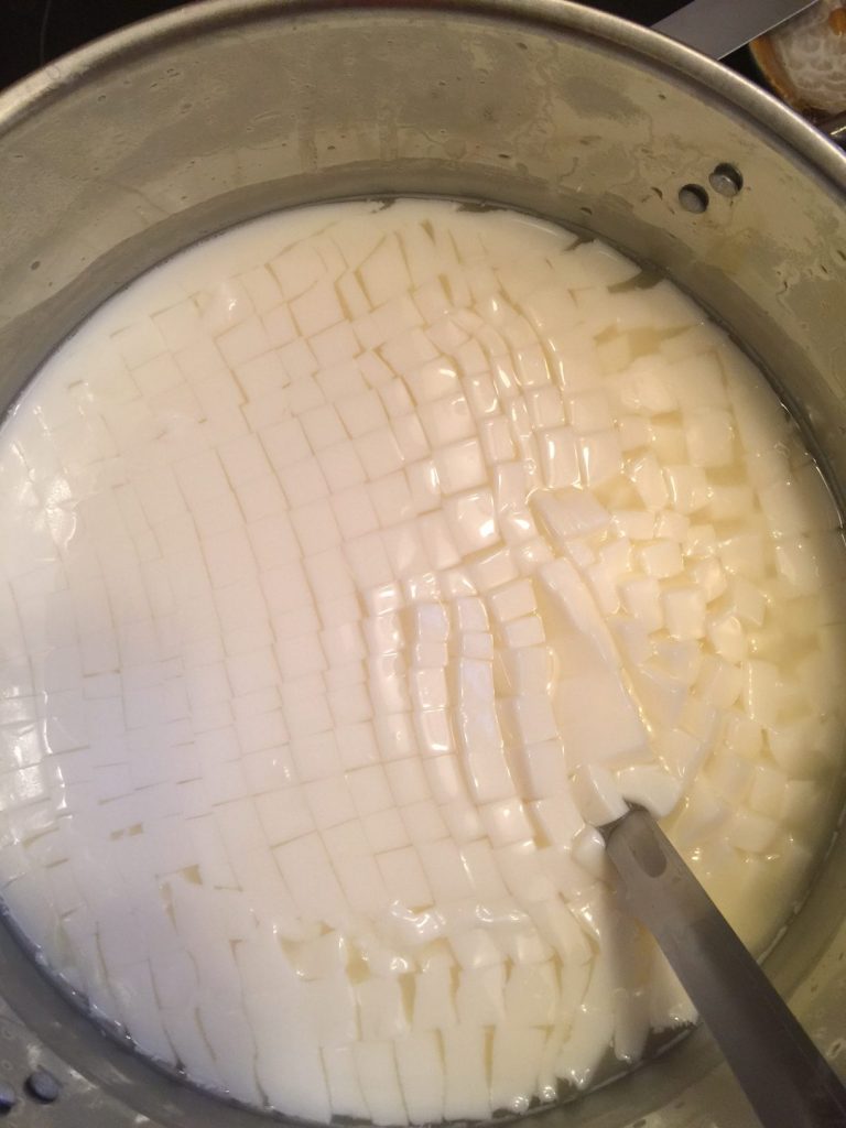 letting the cheese curd sit