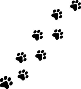 dog prints