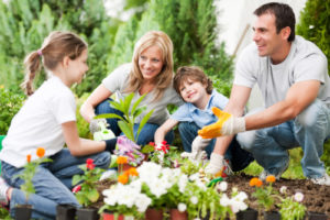 family working in a garden