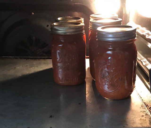 Easy Homemade Pizza Sauce
#heatherearles #herbnwisdom #marinade #canningpizzasauce #Christmasgiftideas #pizza #naturalliving #howtomakepizzasauce