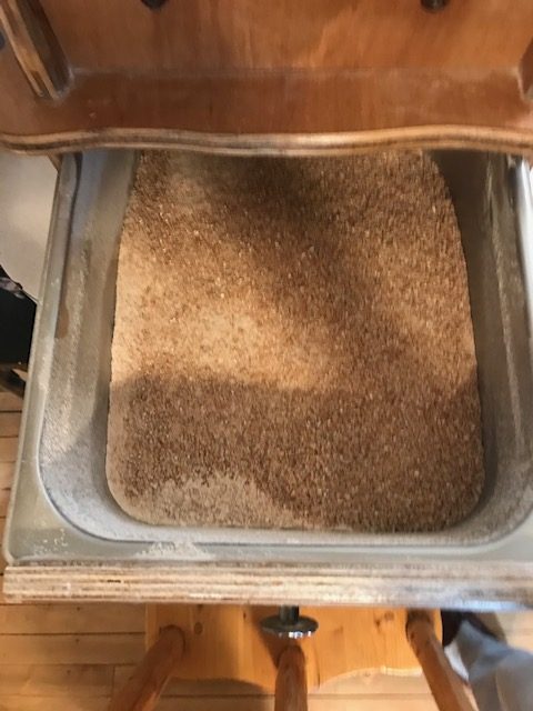finished wheat in the grinder tray