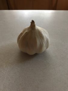 a bulb of garlic