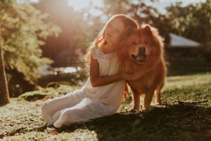 Taking care of your dogs health