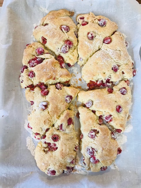 Golden brown cream cheese cherry scones
#heatherearles #herbnwisdom #naturalliving #sconerecipe #nankingcherries #homesteading #farmgirlcooking #cherries