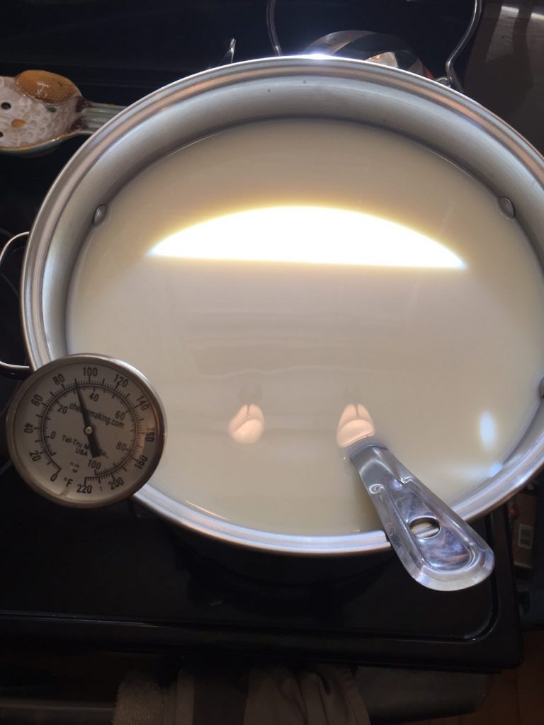 heating milk for Colby cheese