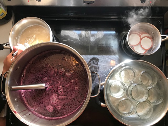 heating grape juice, fruit pectin, jars, and lids on a stove.
