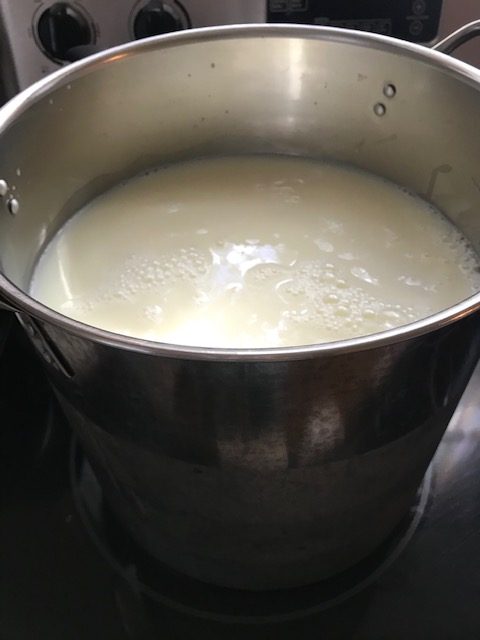 Three gallons of raw milk for cheese making