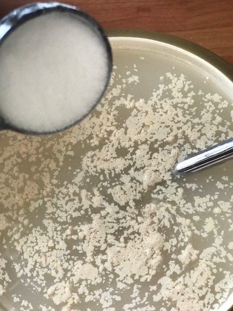 pouring salt in yeast and water mixture