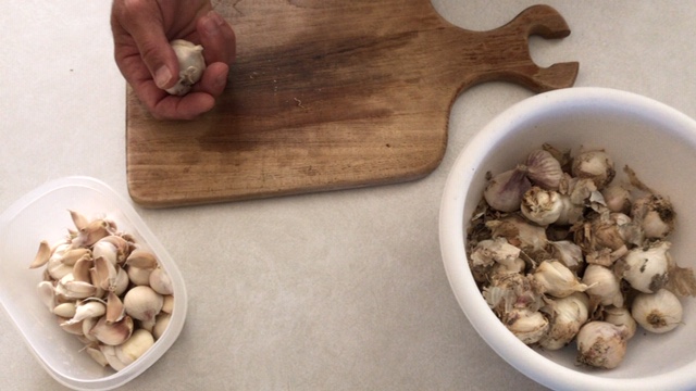 How do you peel and mince garlic?
#HeatherEarles #herbnwisdom #naturalliving #garlic #garden #cloves