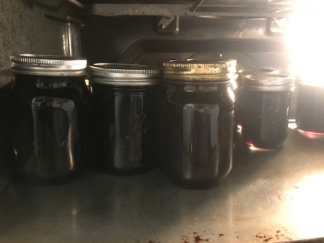 keeping the jelly jars hot in the oven
#heatherearles #naturalliving #concordgrapes #grapejellyrecipe #homesteading #herbnwisdom #healthblogger #author #foodpodcaster