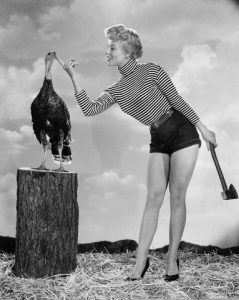 Thanksgiving Day Turkey