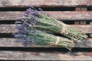 drying lavender and other flowers