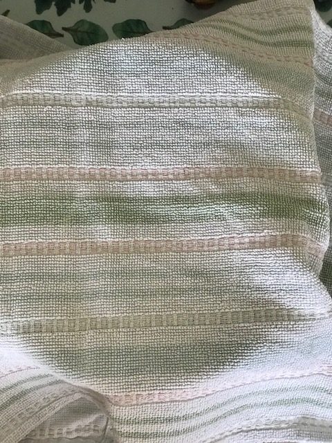 letting sicilian bread rise