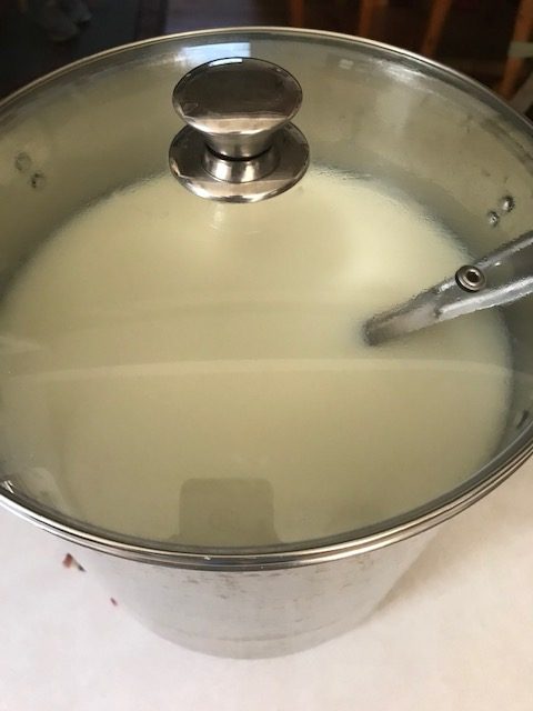 letting the milk sit after the rennet has been stirred in.