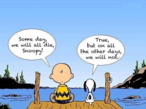 live in the here and now