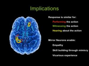 mirror neurons implications