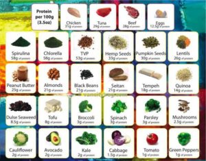 protein chart