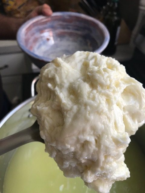 taking the glob of mozzarella cheese out of the whey
#heatherearles #mozzarellacheese #herbnwisdom #naturalliving #cheesemaking #homesteading #DIYcheese