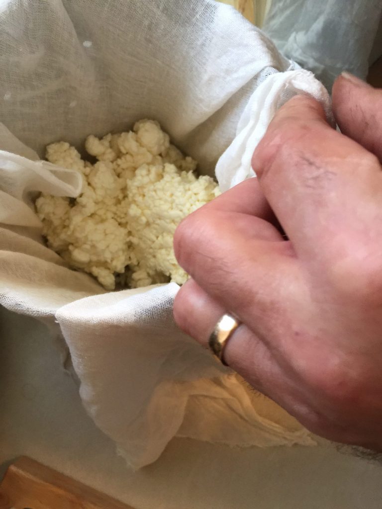 putting curds into press