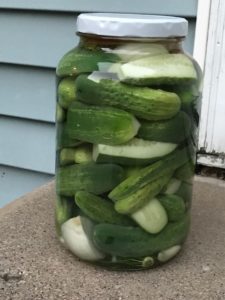 solar dill pickles