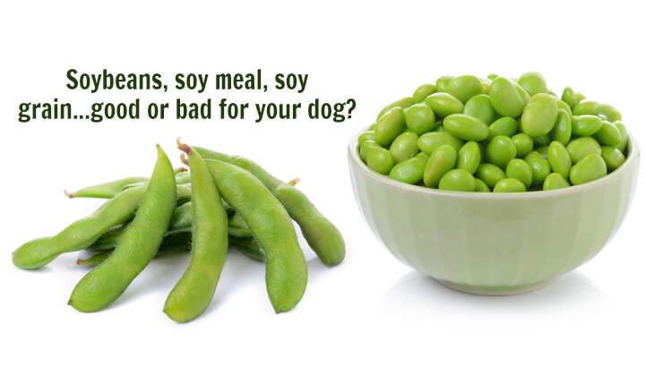 Is so good for animal consumption?