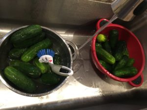 washed cucumbers