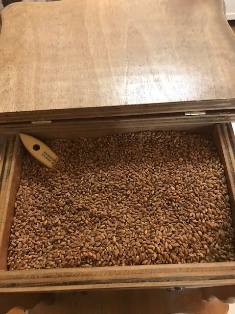 Wheat in the grain grinder