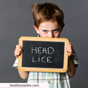 How to get rid of head lice