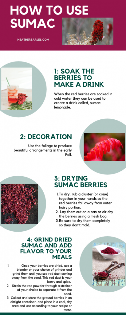 How to use sumac
#HeatherEarles #sumac #sumaclemonade #berries #healthydrinks #herbnwisdom #naturalliving