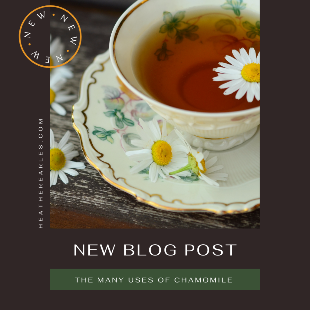 The Many Uses of Chamomile
#heatherearles #herbnwisdom #naturalliving #northerngirl #herbalteas #chamomile #farmsteading #foodie