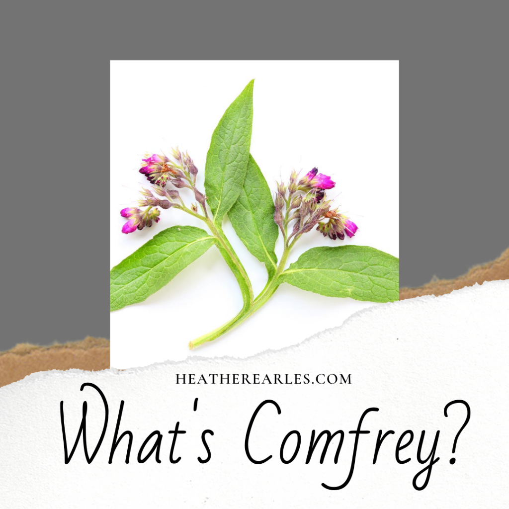What are the benefits of comfrey
#heatherearles #herbnwisdom #naturalliving #comfrey #woundhealing #sprains